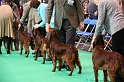 Crufts2011 121